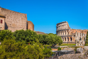 Colosseum in Rome, Italy