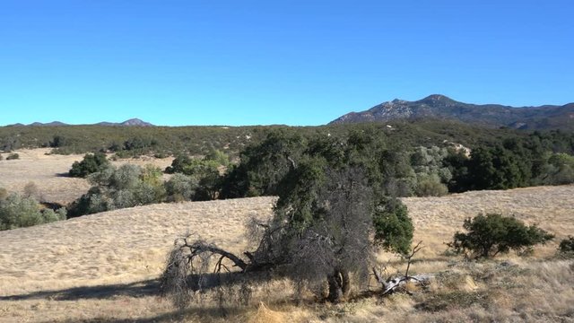 Beautiful pan motion footage of nature scene in PCT Trail, Warner Springs, California, United States