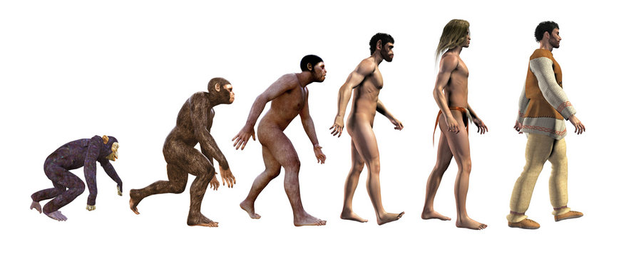human evolution, 3d rendering