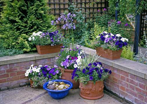 Flower containers in a garden patio