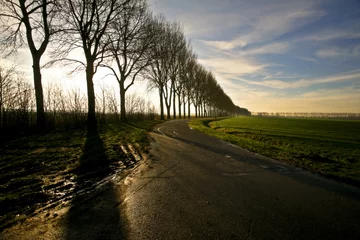 Poster Morgen zon op een polder weg © Roderick