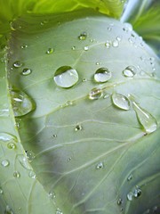 Вода,природа,н2о