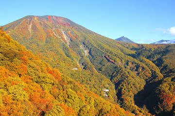 Colorful of Mountain in Autumn Season ,Nikko ,Japan.
