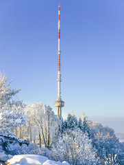Fernsehturm in Zürich auf dem Ütliberg im Winter © ThomBal