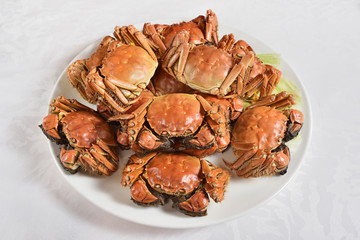 Steamed Chinese hairy crabs on plate 