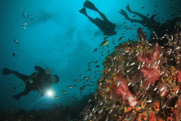 Crédence de cuisine en verre imprimé Plonger Scuba diving. Scuba divers explore coral reef underwater