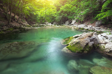 Fototapeta premium Lake and pond in forest.