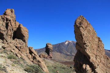 Fototapeta premium Finger Of God rock at volcano Teide in Tenerife island