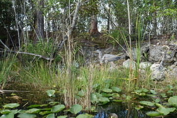 Florida Everglades Holiday Park