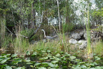 Florida Everglades Holiday Park