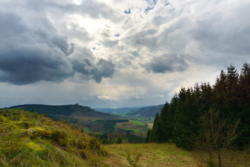 Fototapete bei efototapeten.de bestellen   