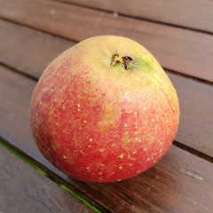 Melrose, Apfel, Malus, domestica, Alte Apfelsorte