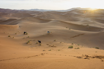 Sunrise in sand desert