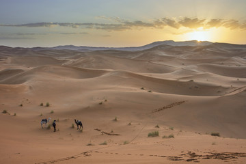 Sunrise in sand desert