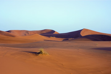 Fototapeta na wymiar Sand desert dunes