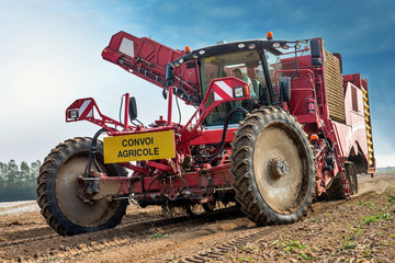 int&eacute;grale &agrave; betteraves