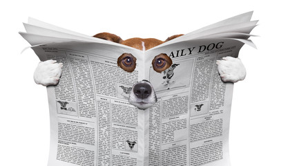 spy dog reading a newspaper