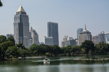 Fototapeta premium Lumphini Park is a park in Bangkok, Thailand that offers rare open public space, trees, and playgrounds in the capital and contains an artificial lake are a popular for morning and evening joggers