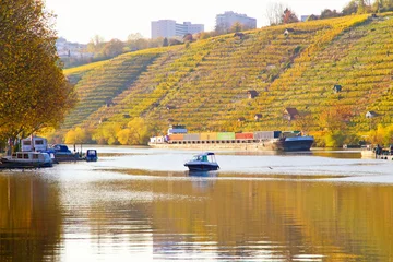 Deurstickers Neckar bei Hofen nahe Stuttgart - Herbstzeit © Jürgen Fälchle
