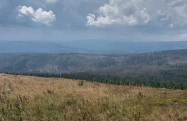 The landscape of mountain in Harz, Germany