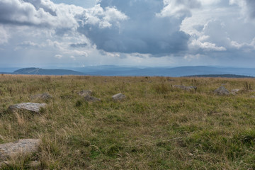 The landscape of mountain in Harz, Germany