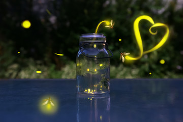 Fireflies in love.