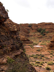 KINGS CANYON - WATARRKA NATIONAL PARK, AUSTRALIA