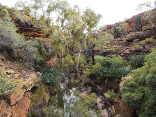KINGS CANYON - WATARRKA NATIONAL PARK, AUSTRALIA