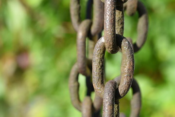 Rain chain closeup in the garden