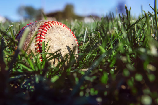 Baseball lying in the deep grass of the outfield