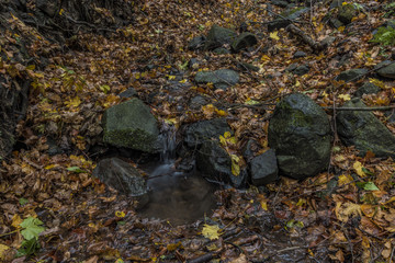 Nemecsky creek in Prucelska valley in autumn evening with color leafs
