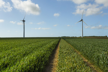 Windmills for electric power production in agricultural fields in Normandy, France. Renewable energy sources, industrial agriculture concept. Environmentally friendly electricity production. Toned