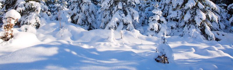 Winter background with snow.