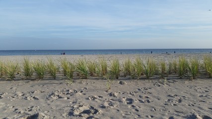 Dünen am Strand 