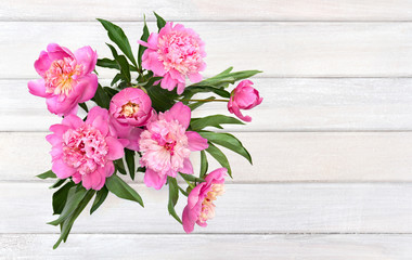 Bouquet of pink peonies on background of white painted wooden planks. Top view, flat lay