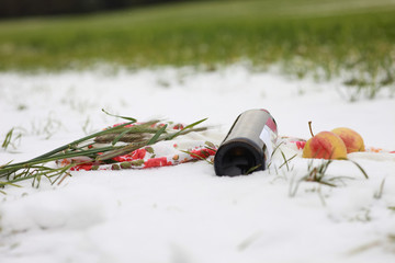 Picnic in the field on the first snow. The composition includes red wine, oats, apples.