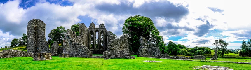 Foto op Plexiglas Rudnes Riuns Landscape of Inch Abbey with a blue sky in Northern Ireland. Monastery ruins in Downpatrick. Co. Down. Travel by car in summer.