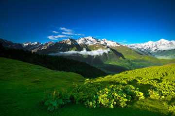 Fototapeta premium Panoramic summer landscape with green hill and mountain snowy peaks against clear blue sky. Svanetia region, Georgia. Main Caucasian ridge. Travel background. Holiday, hiking, sport, recreation.