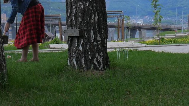 The game of croquet