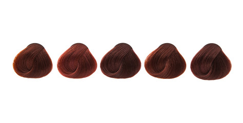 colored hair curls isolated