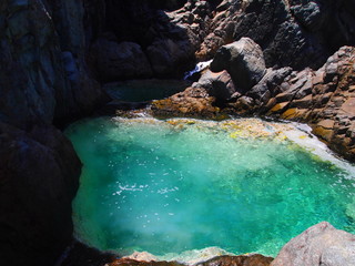 piscine naturelle