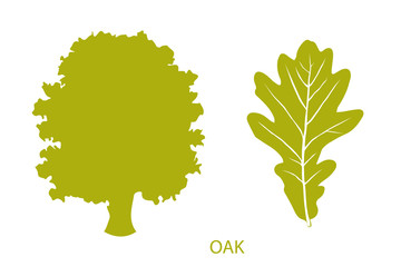 The set of simple icons of tree and leaf. Oak