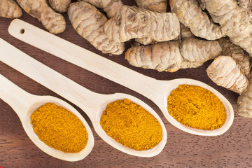 Roots and turmeric powder (Curcuma longa)