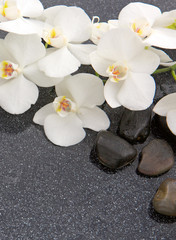 Panele Szklane  Martwa natura z kamieniami spa i białą orchideą.