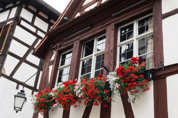 Fototapeta na wymiar Typical window with flower of an old house in Strasbourg