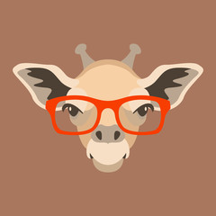 giraffe face in glasses vector illustration flat style