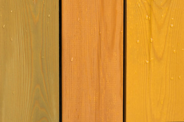 Wet yellow, green and orange color wooden fence pattern