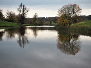 Fototapeta na wymiar Trees reflected in a lake at Ripley, North Yorkshire, England
