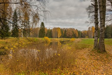 Bright autumn water landscape 