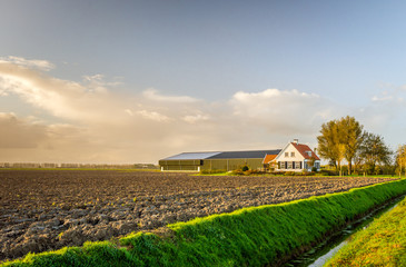 Modern Dutch farmhouse with barns in late afternoon light